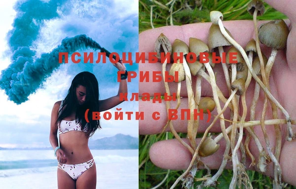 трава Балахна