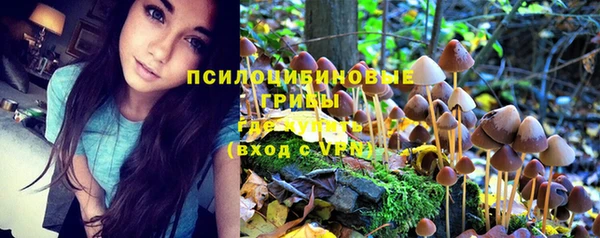 а пвп мука Балабаново