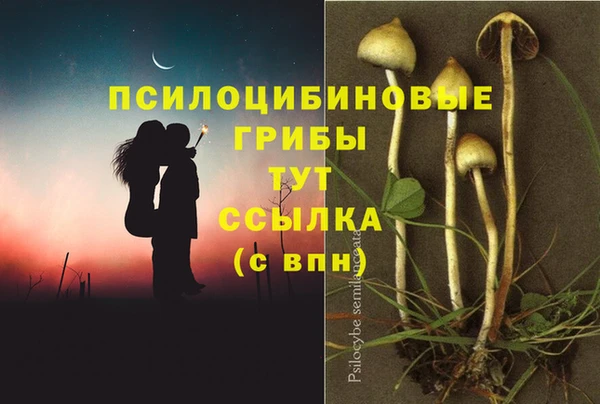mix Баксан
