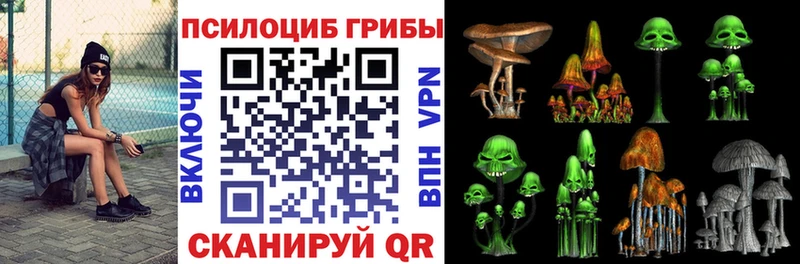 Псилоцибиновые грибы мухоморы  Зима 