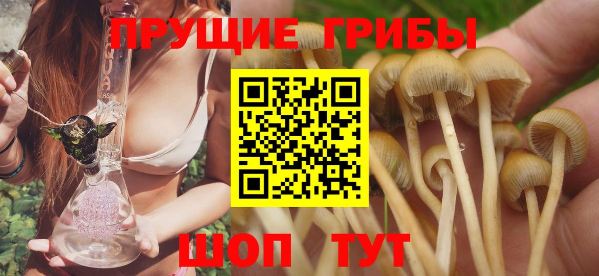 магазин продажи наркотиков  Псилоцибиновые грибы ЛСД  Вход с VPN  Зима 